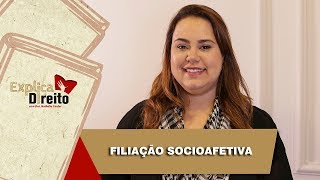 Explica Direito Filiação Socioafetiva  2019 [upl. by Dunton844]