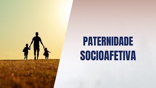 Paternidade socioafetiva [upl. by Yekim]