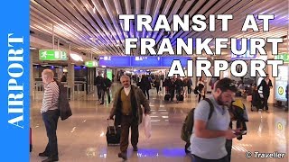 TRANSIT WALK AT FRANKFURT Airport FRA Terminal 1  Connection Flight Transfer Arriving amp Departing [upl. by Roleat]